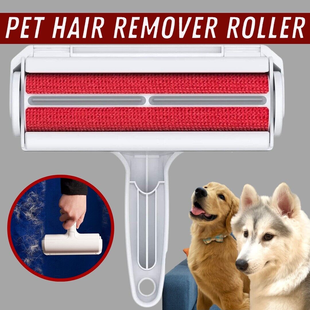 Pet Hair Removal From Furniture 4