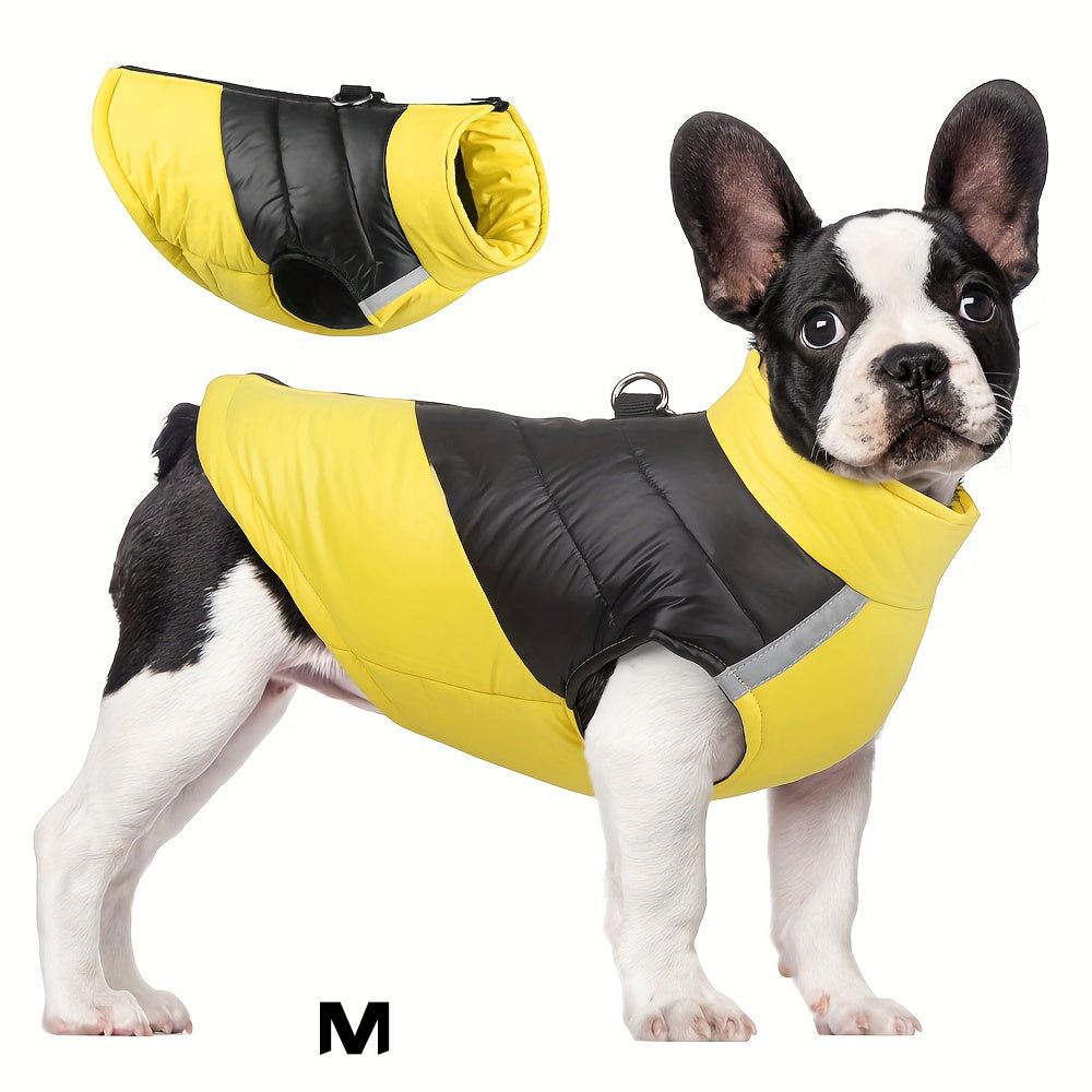 Winter Pet Waterproof Coat with Harness 40