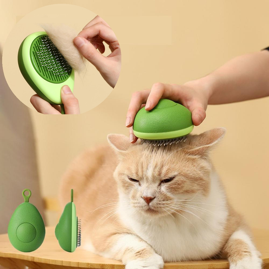 Cat Grooming Comb & Brush