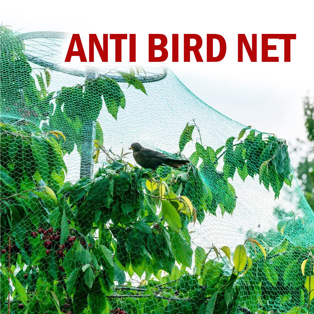 Bird Netting 3