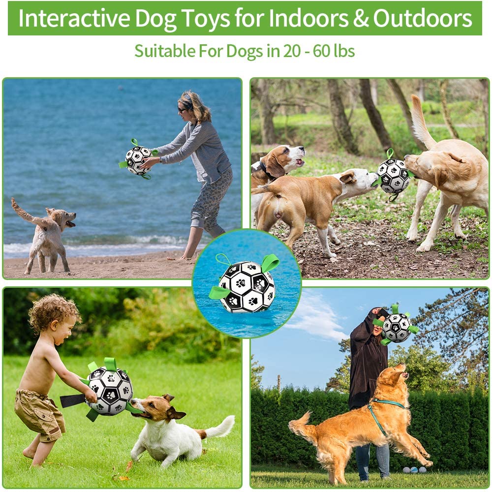 Interactive Dog Football Toys with Grab Tabs 4