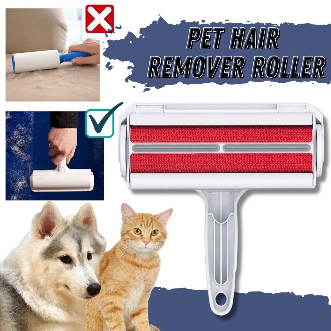 Pet Hair Removal From Furniture 2