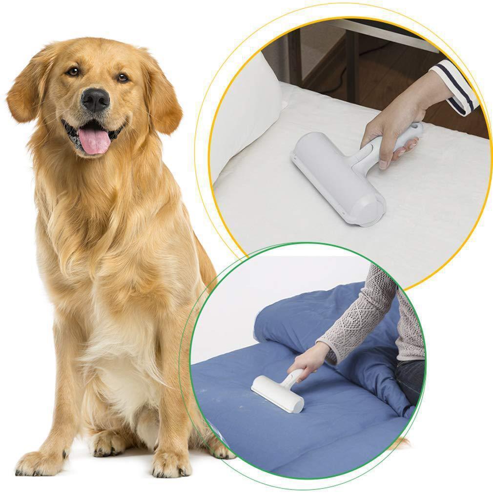 Pet Hair Removal From Furniture 3