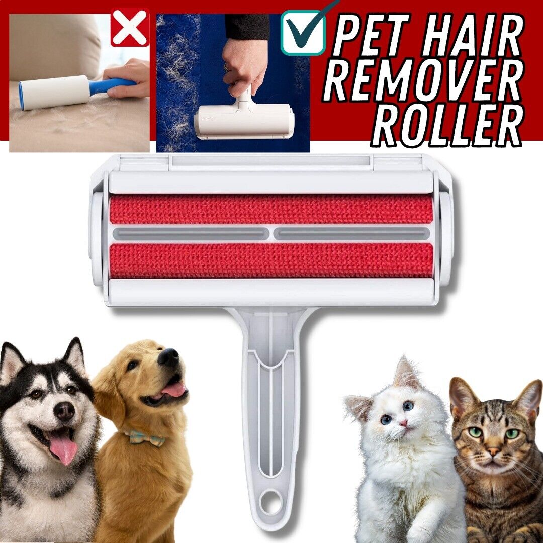 Pet Hair Removal From Furniture 7