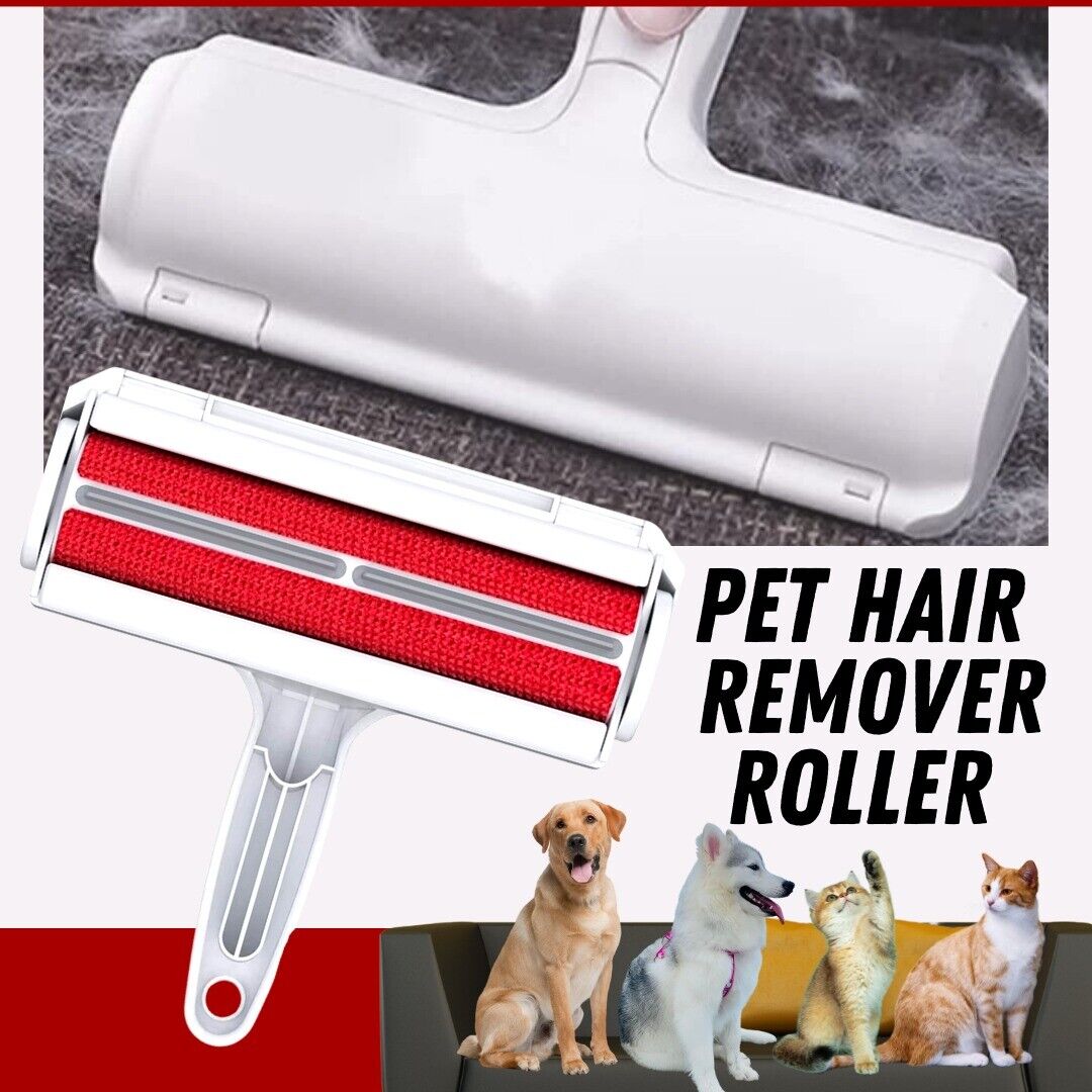 Pet Hair Removal From Furniture 5